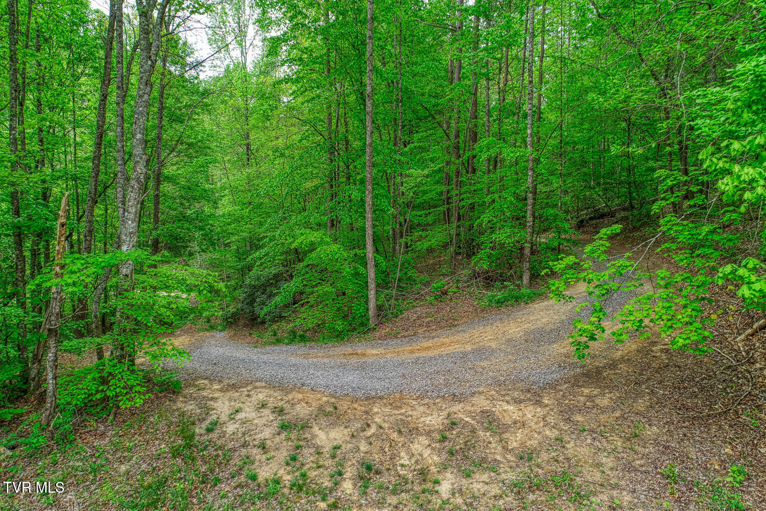 Tbd Seay Hollow Road Bulls Gap, TN 37711 - Photo 16 of 30 Seay Hollow. Rog MLSb (14 of 28)