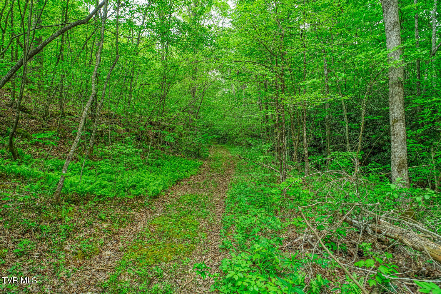 Tbd Seay Hollow Road Bulls Gap, TN 37711 - Photo 17 of 30 Seay Hollow. Rog MLSb (15 of 28)