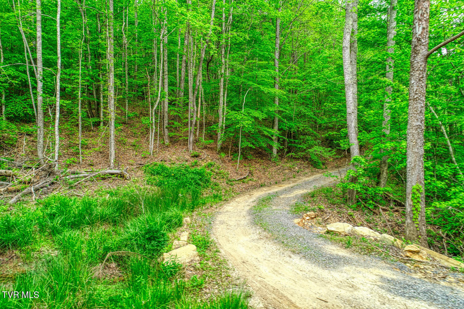 Tbd Seay Hollow Road Bulls Gap, TN 37711 - Photo 18 of 30 Seay Hollow. Rog MLSb (16 of 28)