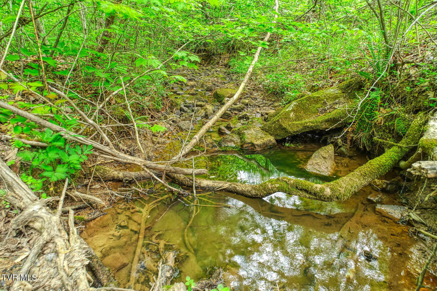 Tbd Seay Hollow Road Bulls Gap, TN 37711 - Photo 19 of 30 Seay Hollow. Rog MLSb (17 of 28)
