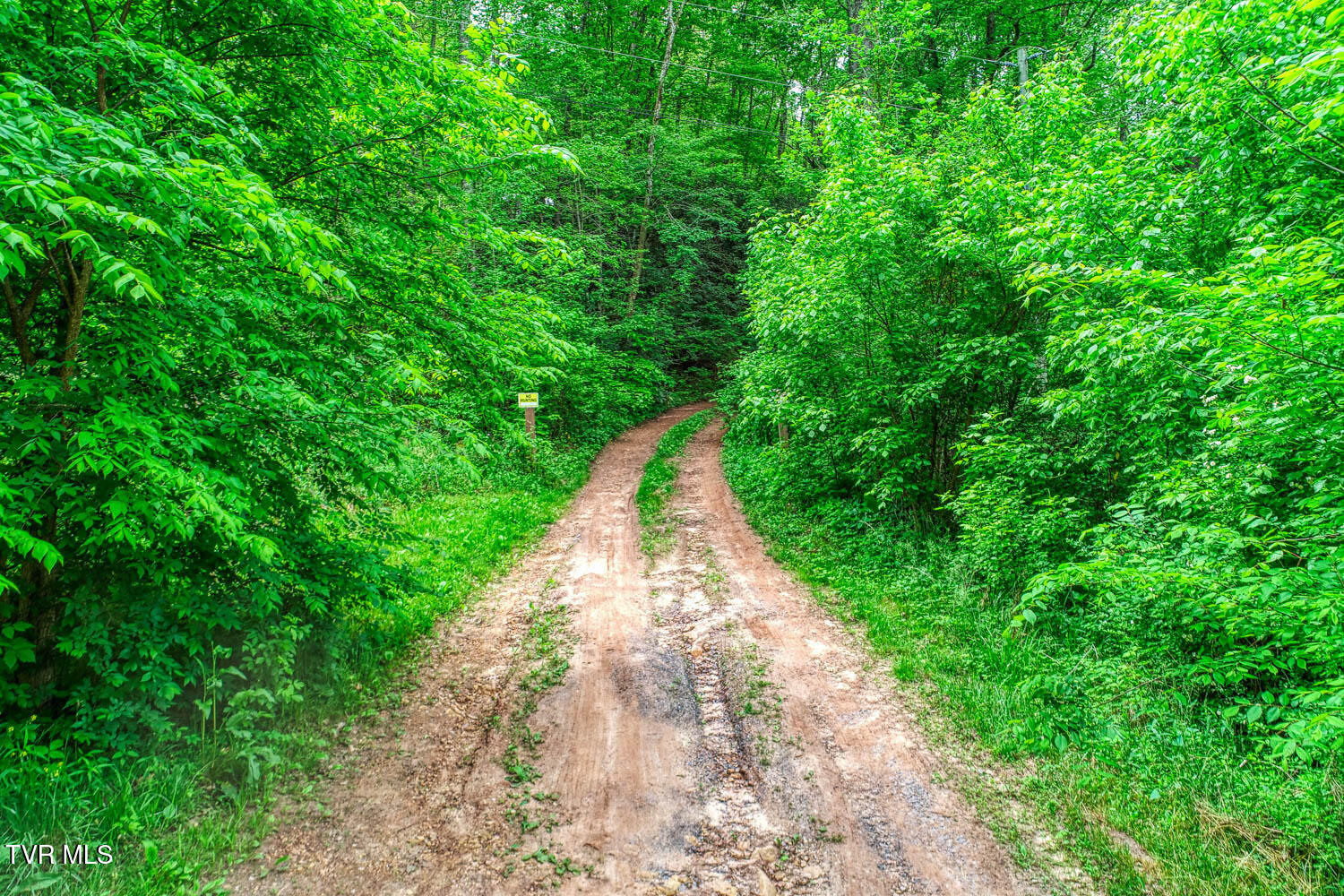 Tbd Seay Hollow Road Bulls Gap, TN 37711 - Photo 20 of 30 Seay Hollow. Rog MLSb (18 of 28)