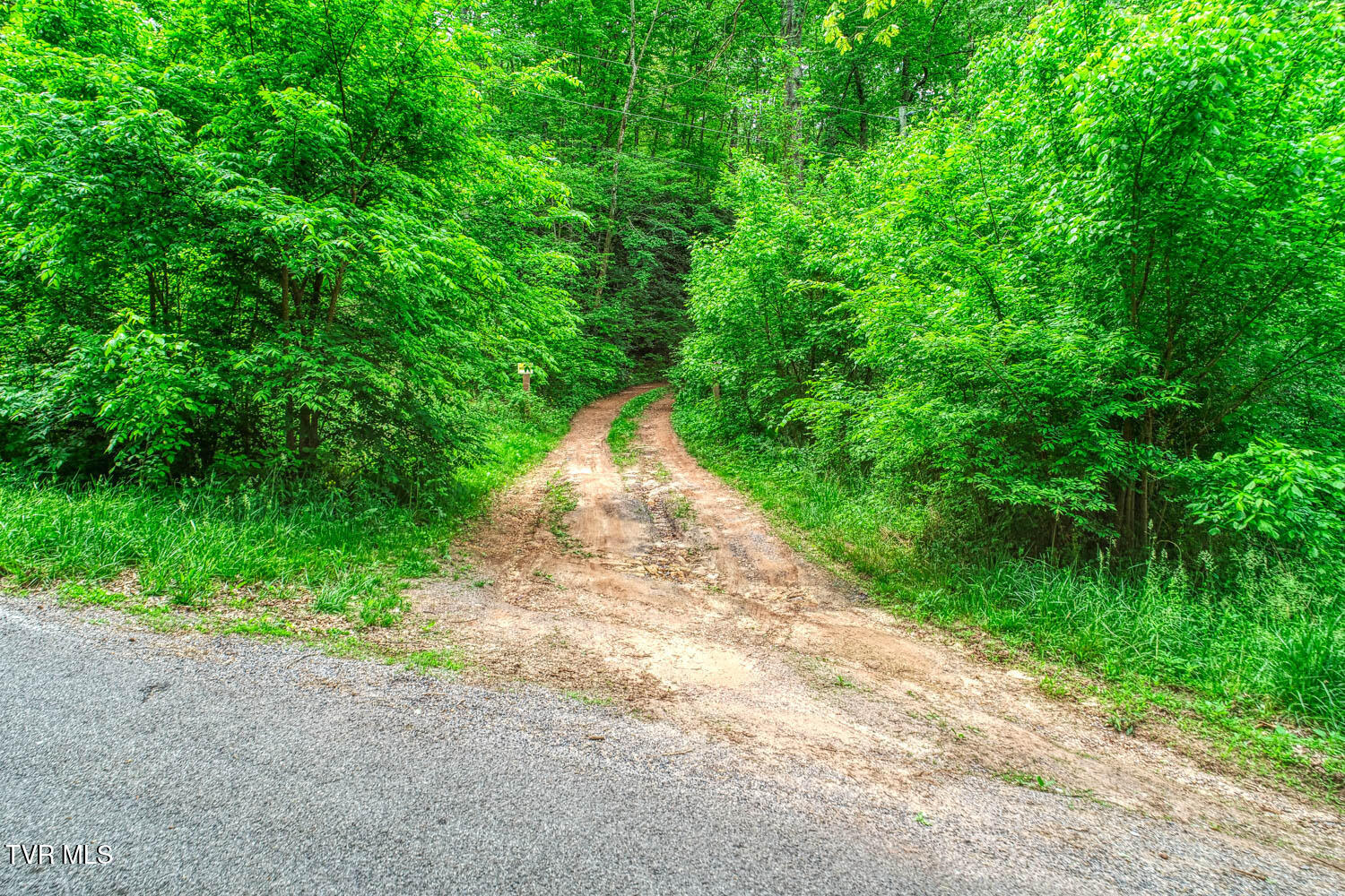 Tbd Seay Hollow Road Bulls Gap, TN 37711 - Photo 21 of 30 Seay Hollow. Rog MLSb (19 of 28)
