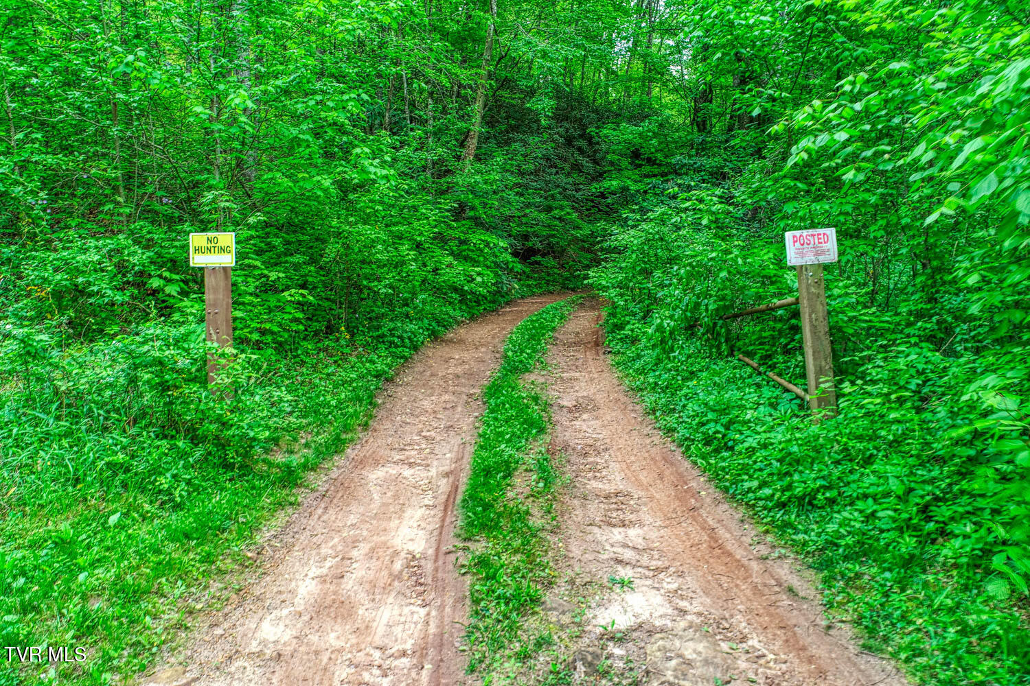 Tbd Seay Hollow Road Bulls Gap, TN 37711 - Photo 22 of 30 Seay Hollow. Rog MLSb (20 of 28)