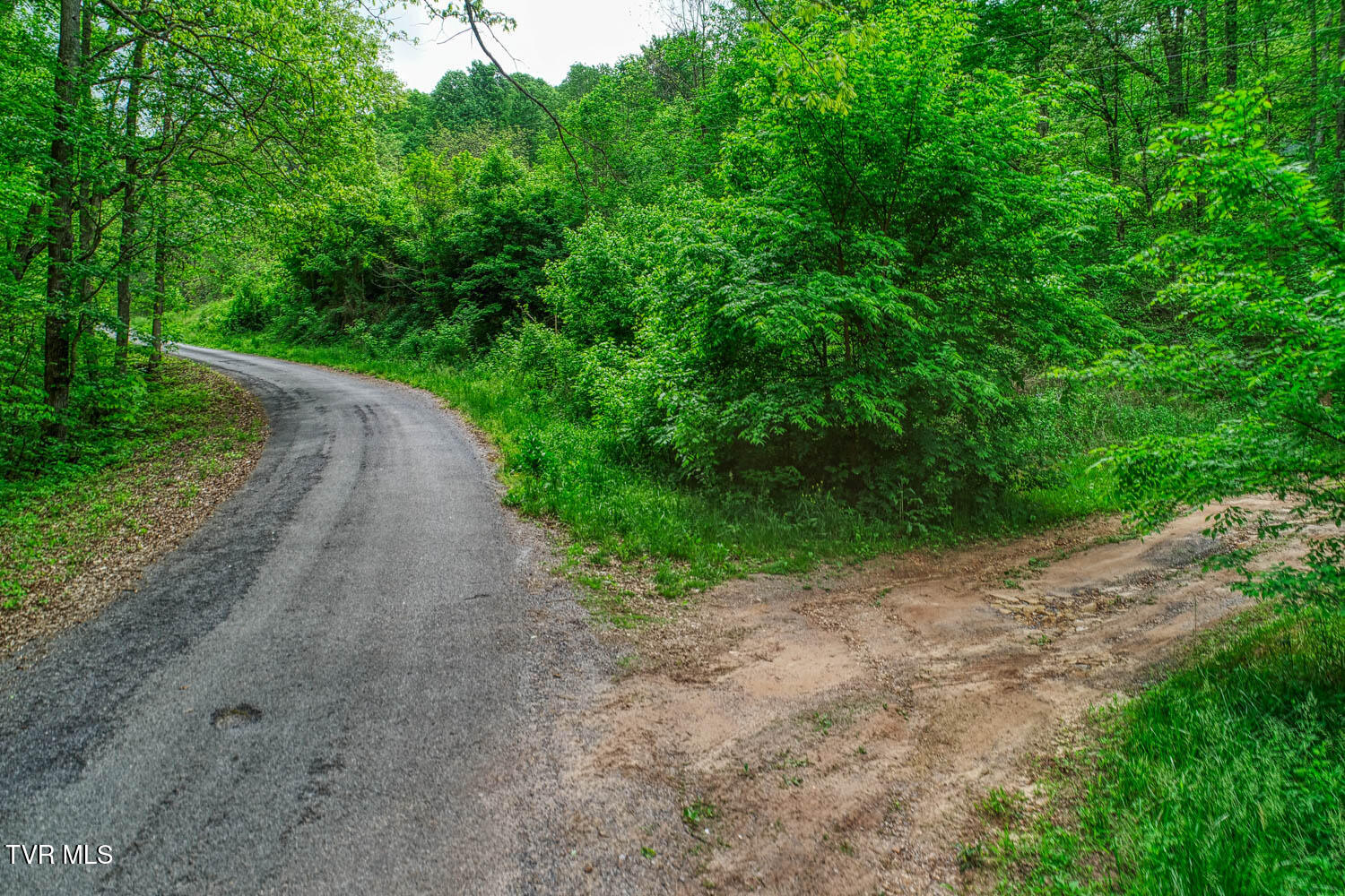 Tbd Seay Hollow Road Bulls Gap, TN 37711 - Photo 23 of 30 Seay Hollow. Rog MLSb (21 of 28)