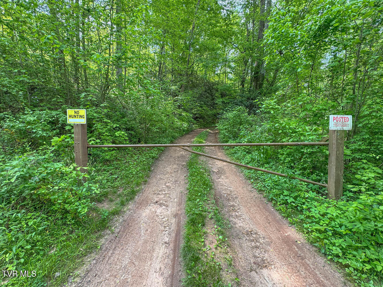 Tbd Seay Hollow Road Bulls Gap, TN 37711 - Photo 30 of 30 Seay Hollow. Rog MLSb (28 of 28)