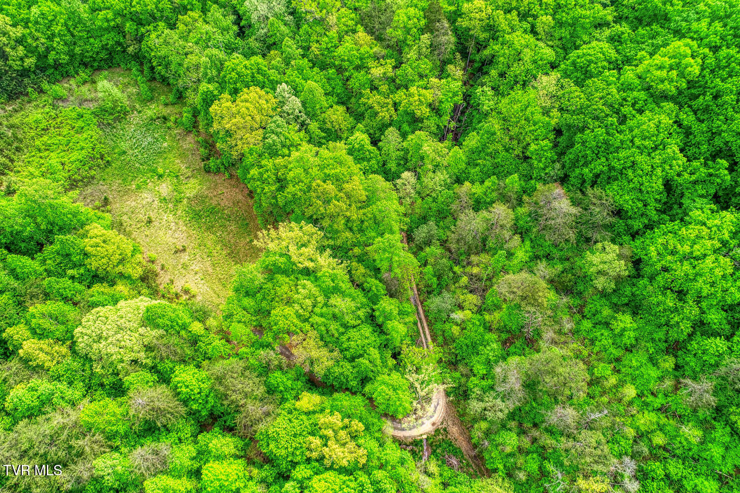 Tbd Seay Hollow Road Bulls Gap, TN 37711 - Photo 4 of 30 Seay Hollow. Rog MLSb (1 of 28)