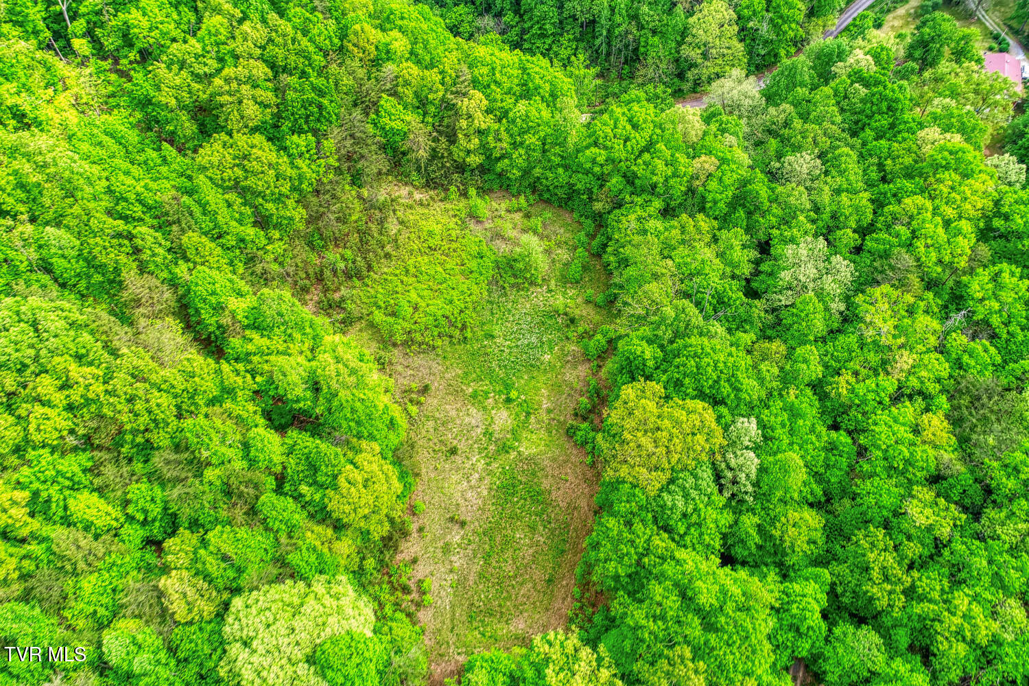 Tbd Seay Hollow Road Bulls Gap, TN 37711 - Photo 5 of 30 Seay Hollow. Rog MLSb (2 of 28)