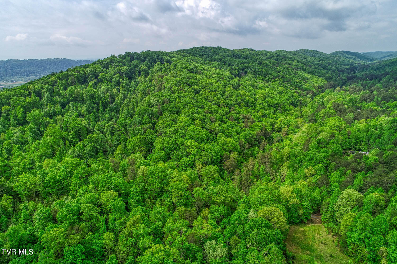Tbd Seay Hollow Road Bulls Gap, TN 37711 - Photo 6 of 30 Seay Hollow. Rog MLSb (3 of 28)