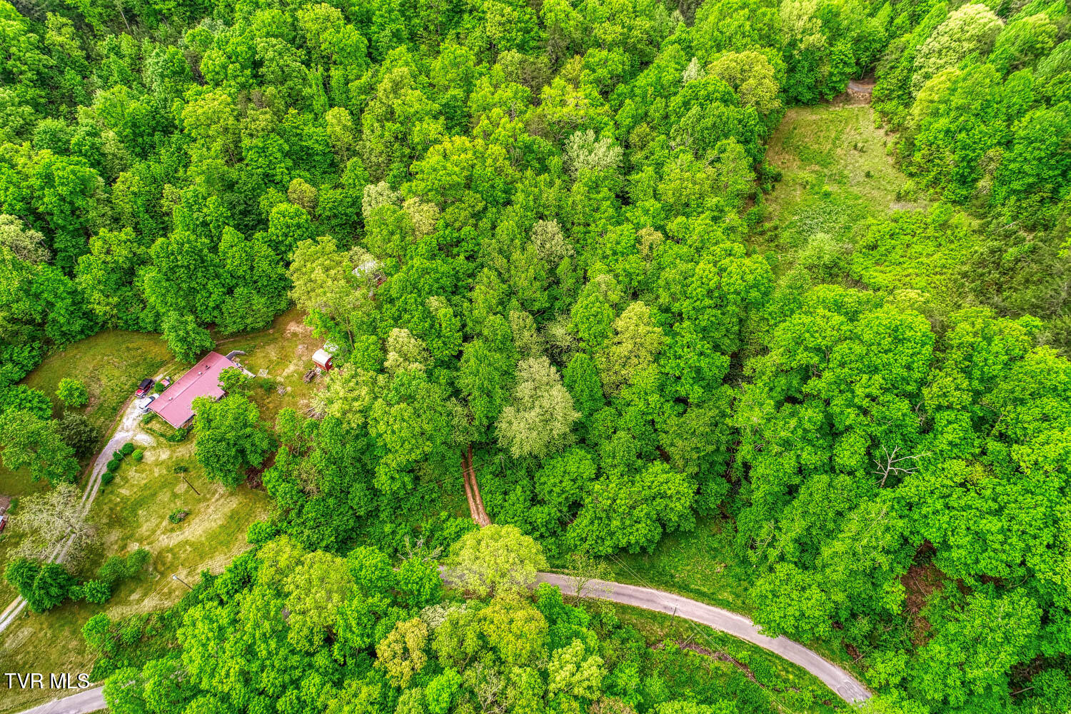 Tbd Seay Hollow Road Bulls Gap, TN 37711 - Photo 7 of 30 Seay Hollow. Rog MLSb (4 of 28)