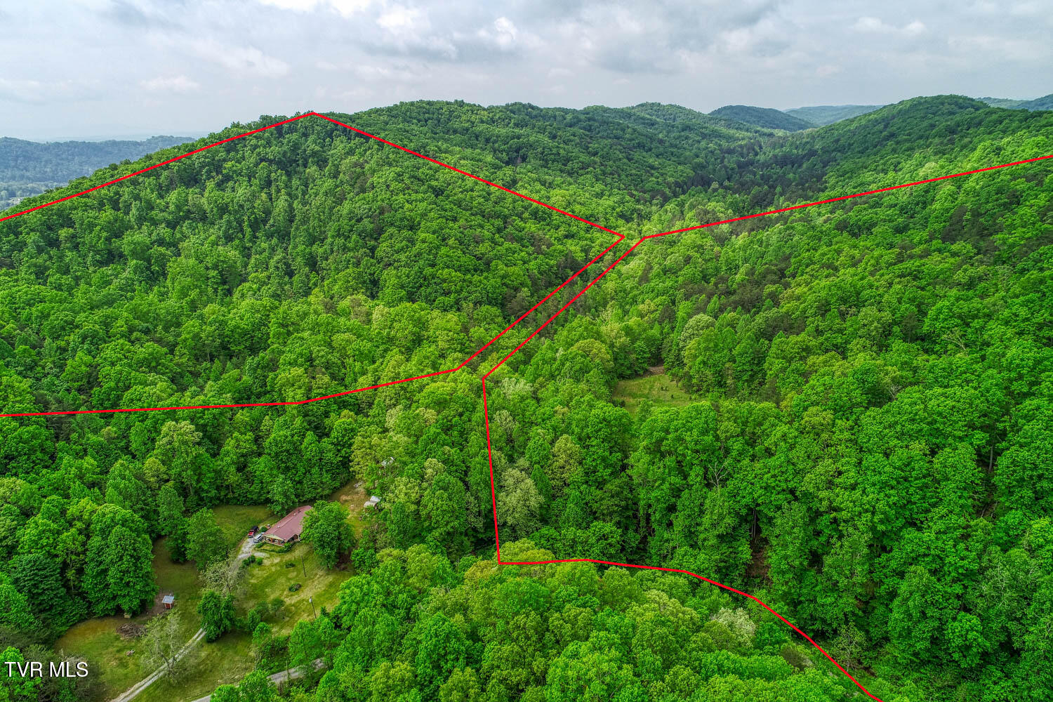 Tbd Seay Hollow Road Bulls Gap, TN 37711 - Photo 8 of 30 Seay Hollow. Rog MLSb (5 of 28)