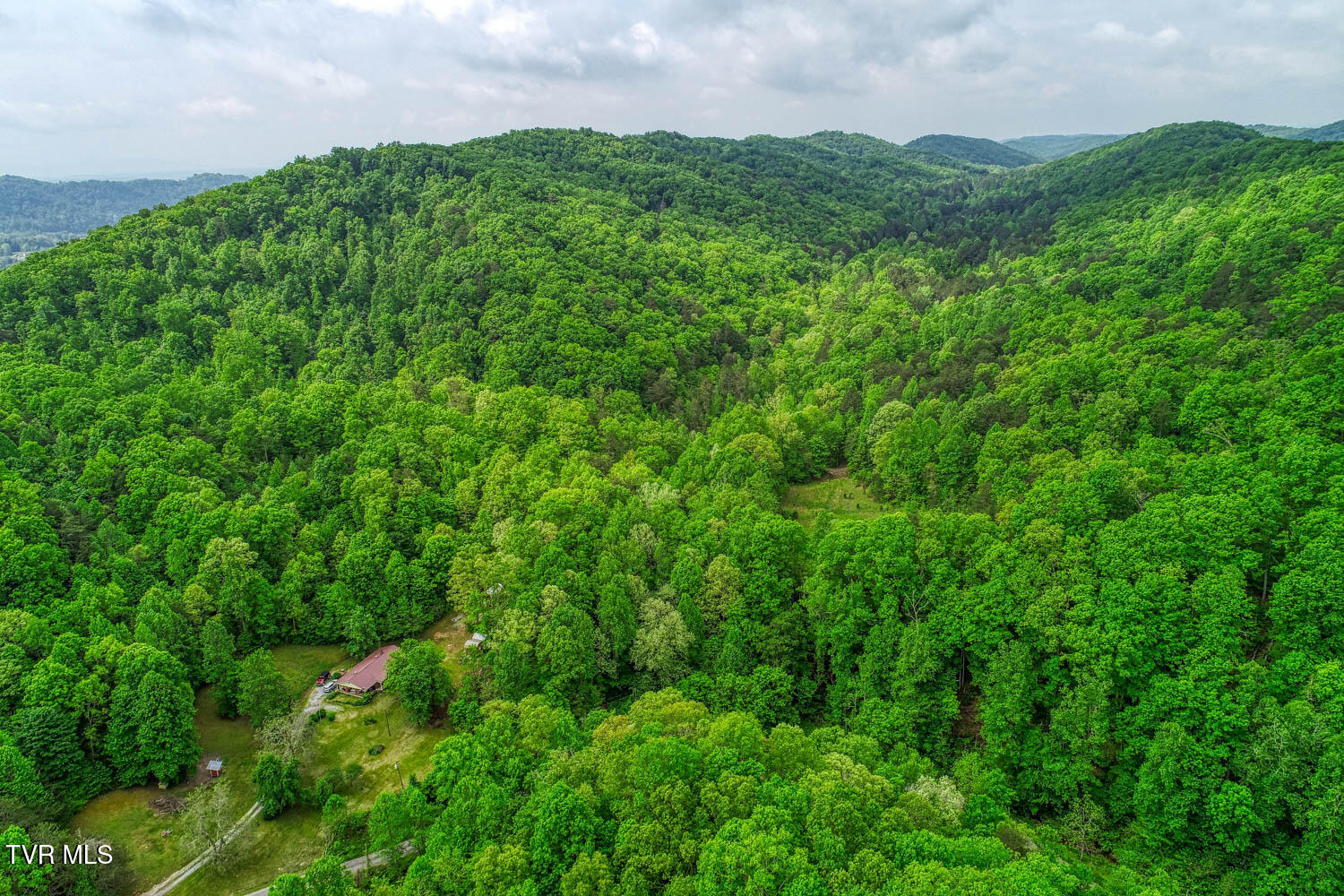 Tbd Seay Hollow Road Bulls Gap, TN 37711 - Photo 9 of 30 Seay Hollow. Rog MLSb (6 of 28)