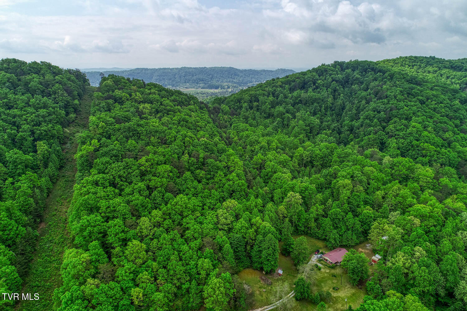 Tbd Seay Hollow Road Bulls Gap, TN 37711 - Photo 10 of 30 Seay Hollow. Rog MLSb (7 of 28)