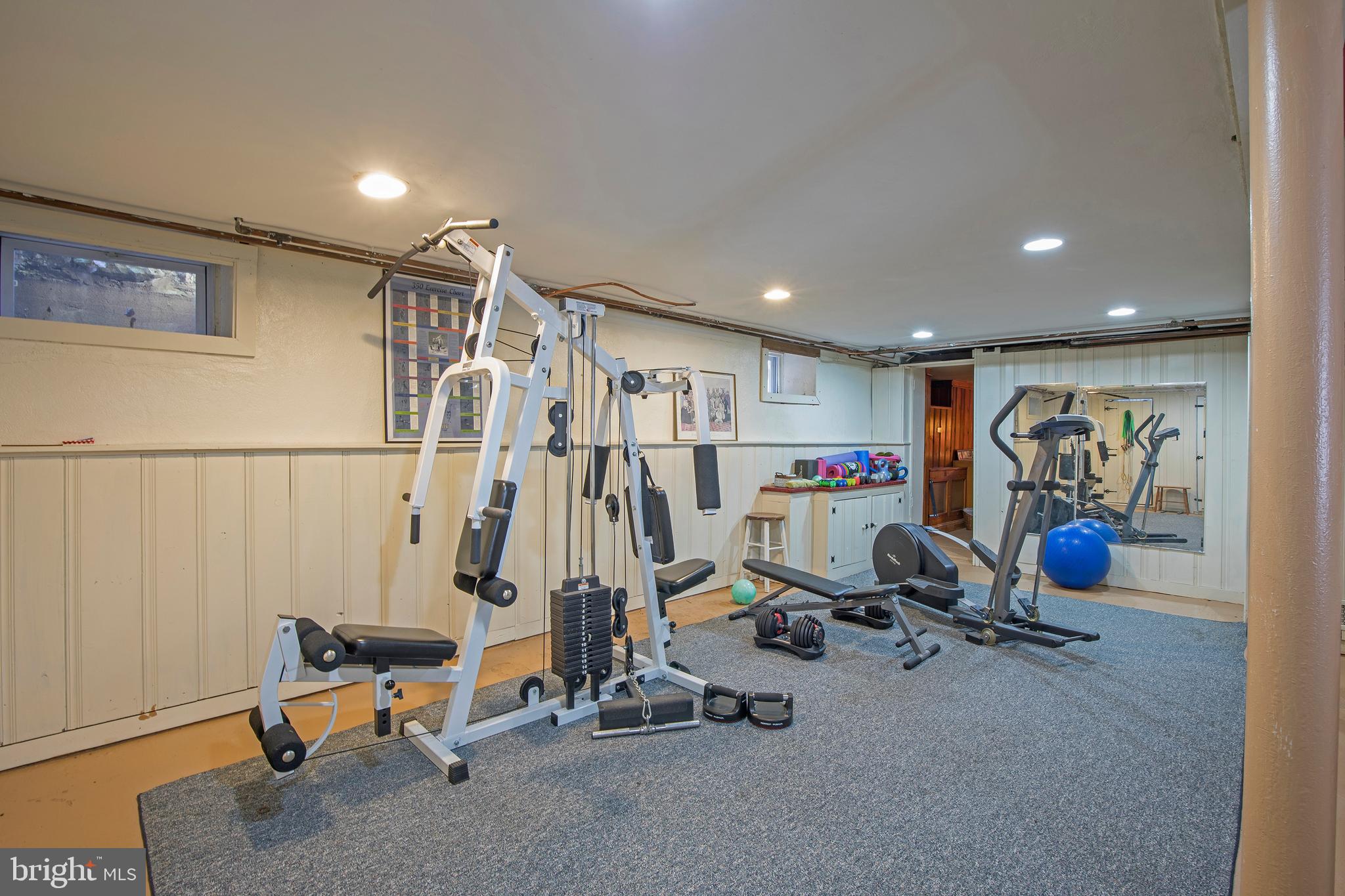 559 West Sandy Ridge Road Doylestown, PA 18901 - Photo 33 of 44 Exercise or Gym area