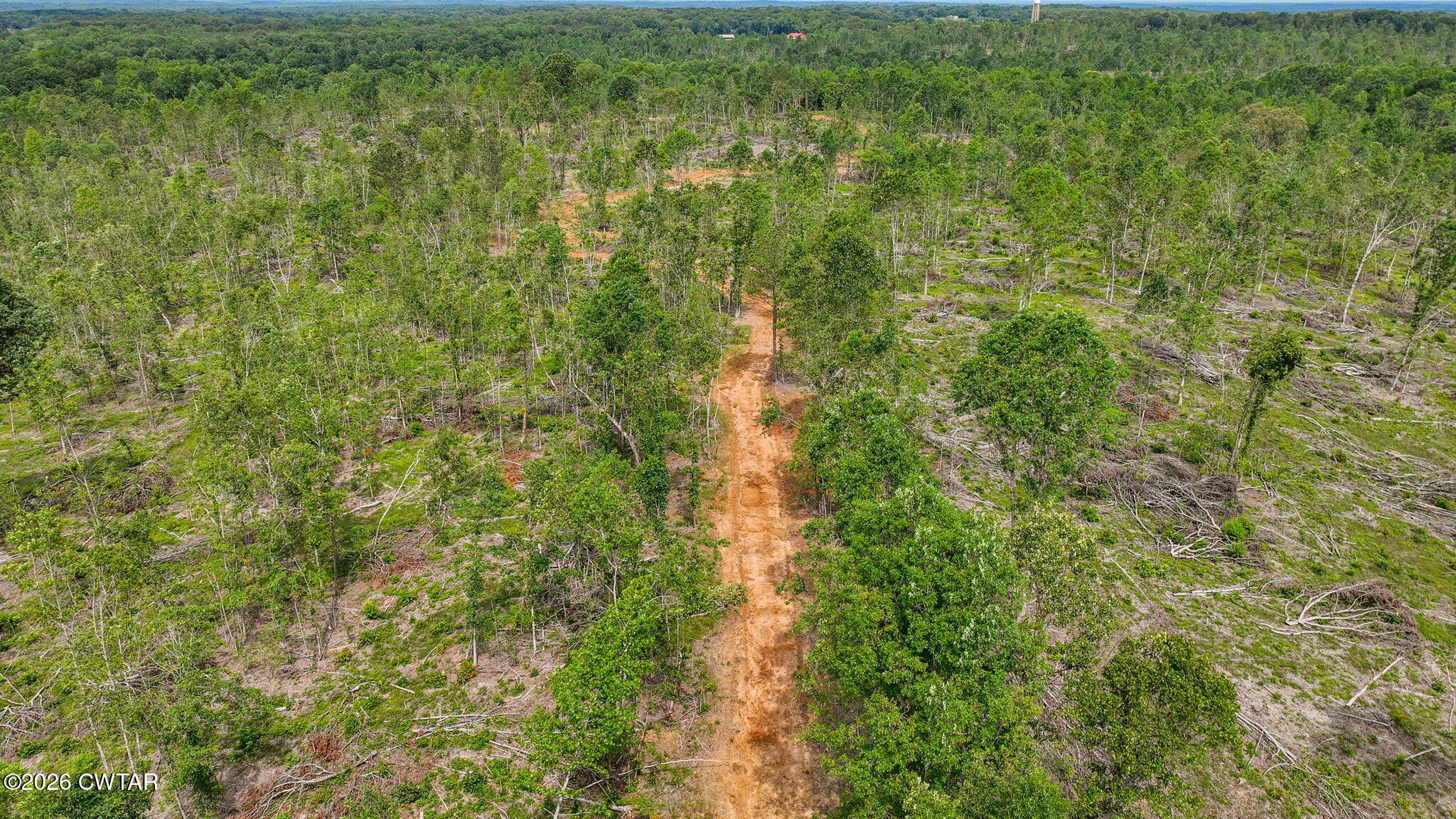 0 Wynn Road Big Sandy, TN 38221 - Photo 12 of 28 10-web-or-mls-DJI_0066