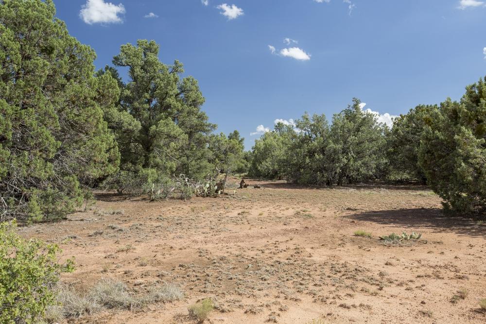 1200 West Airport Road Payson, AZ 85541 - Photo 30 of 50