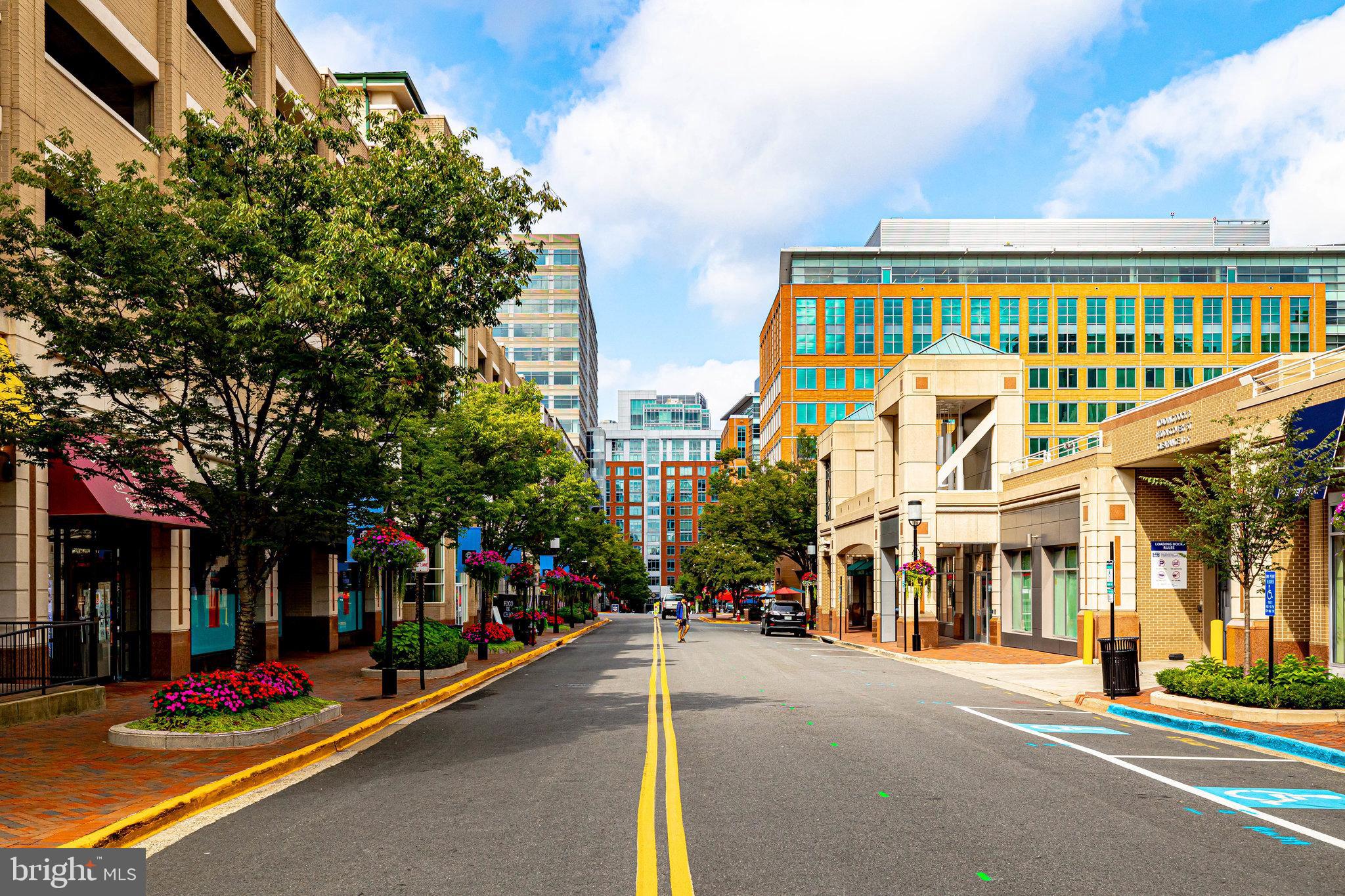 2150 Cartwright Place Reston, VA 20191 - Photo 51 of 59 Reston Town Center