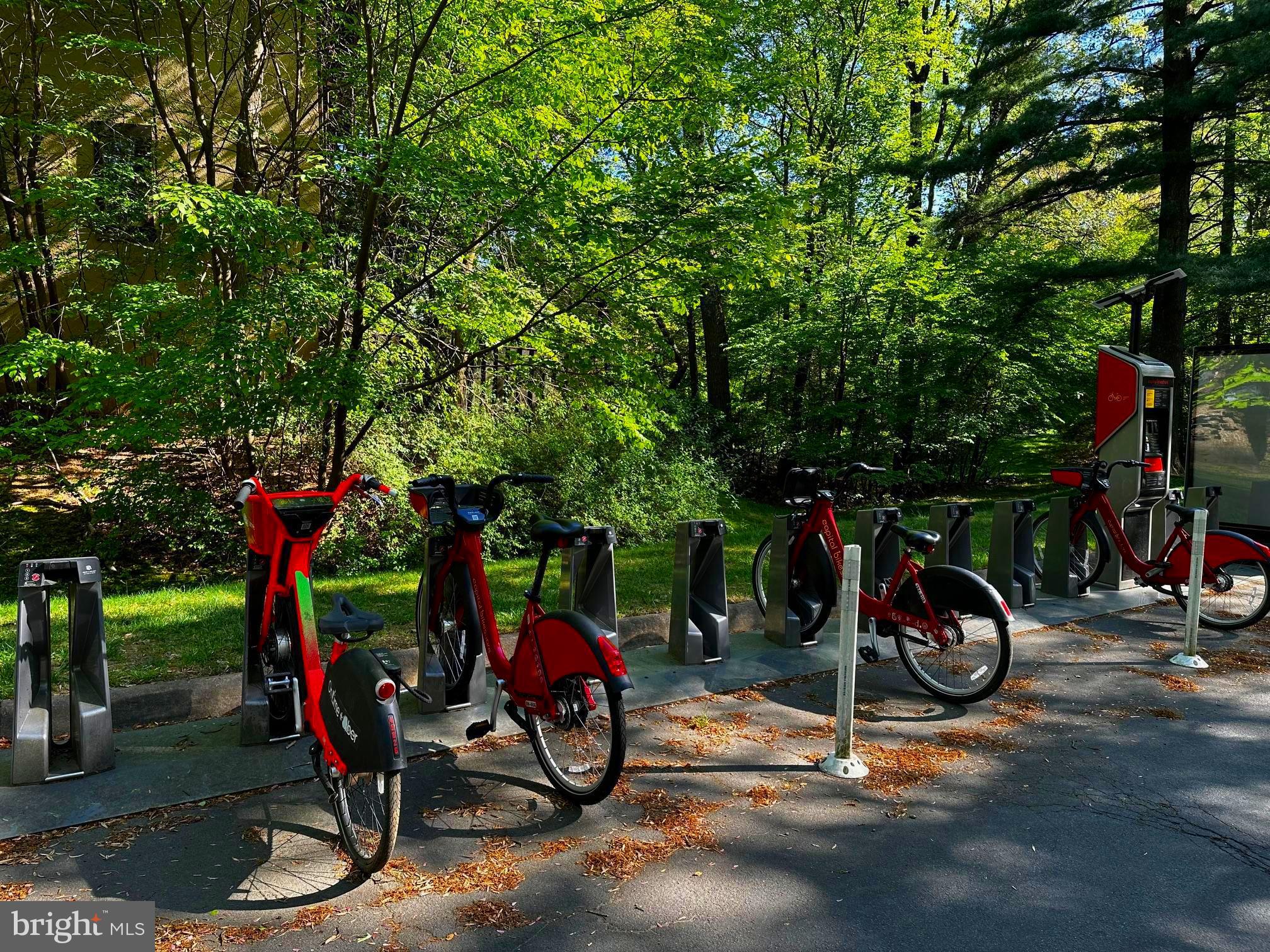 2150 Cartwright Place Reston, VA 20191 - Photo 7 of 59 Just steps away from the house.