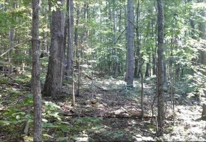 2265 Bethel Ridge Road Beaver, OH 45613 - Photo 13 of 18 E2E68123-5169-470D-91E8-04CEDA33ABD5