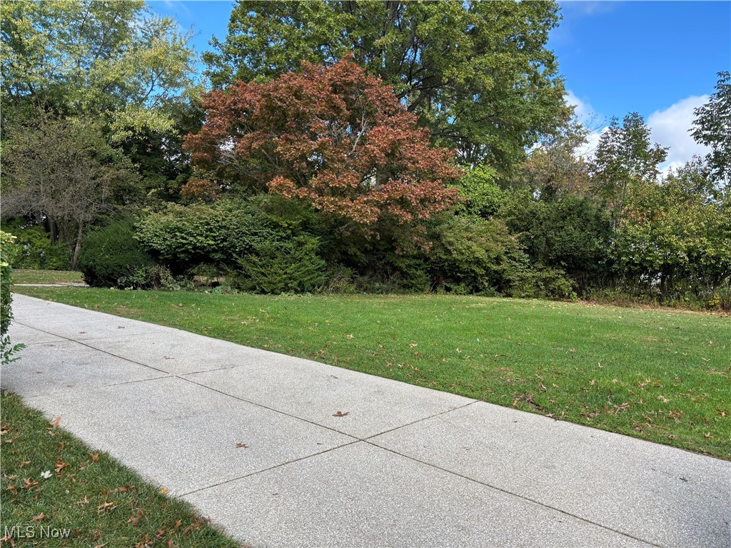 1744 South Green Road Cleveland, OH 44121 - Photo 3 of 40 Additional lot.