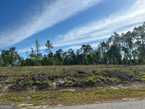 a view of a field with trees in background