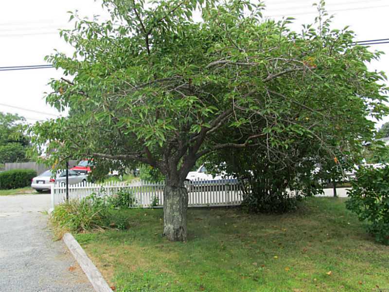 49 Riverside Street Portsmouth, RI 02871 - Photo 2 of 24 Exterior Front.