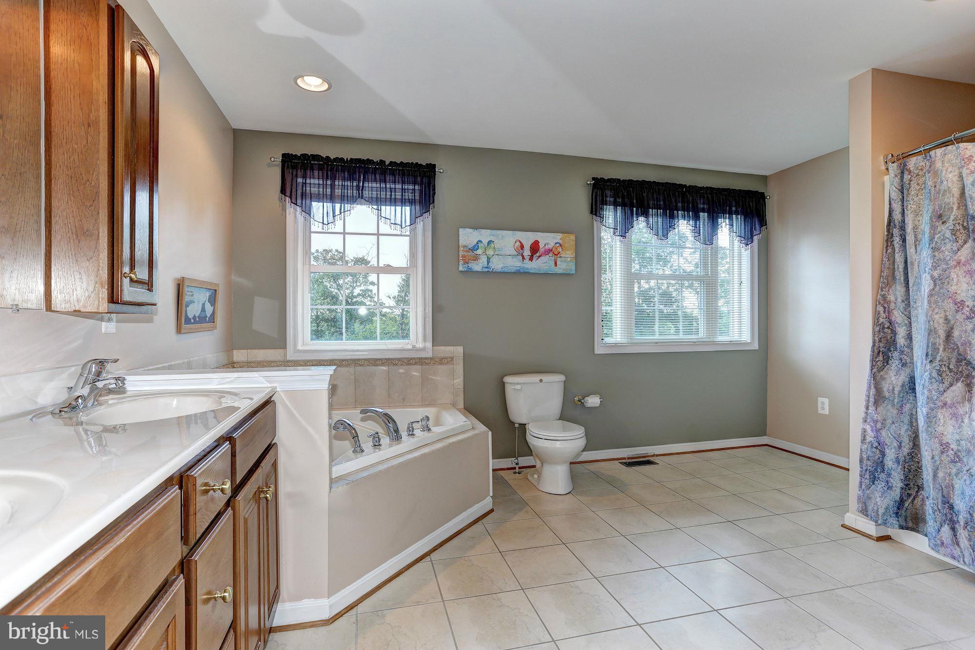 622 Muller Road Westminster, MD 21157 - Photo 17 of 30 Jetted Tub