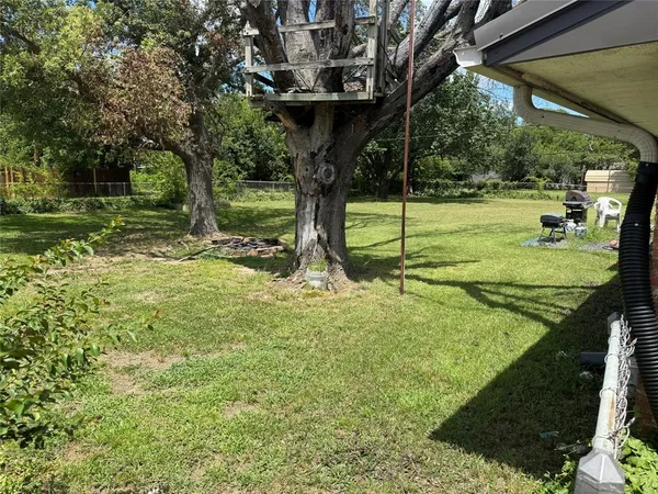 a view of a park with large trees