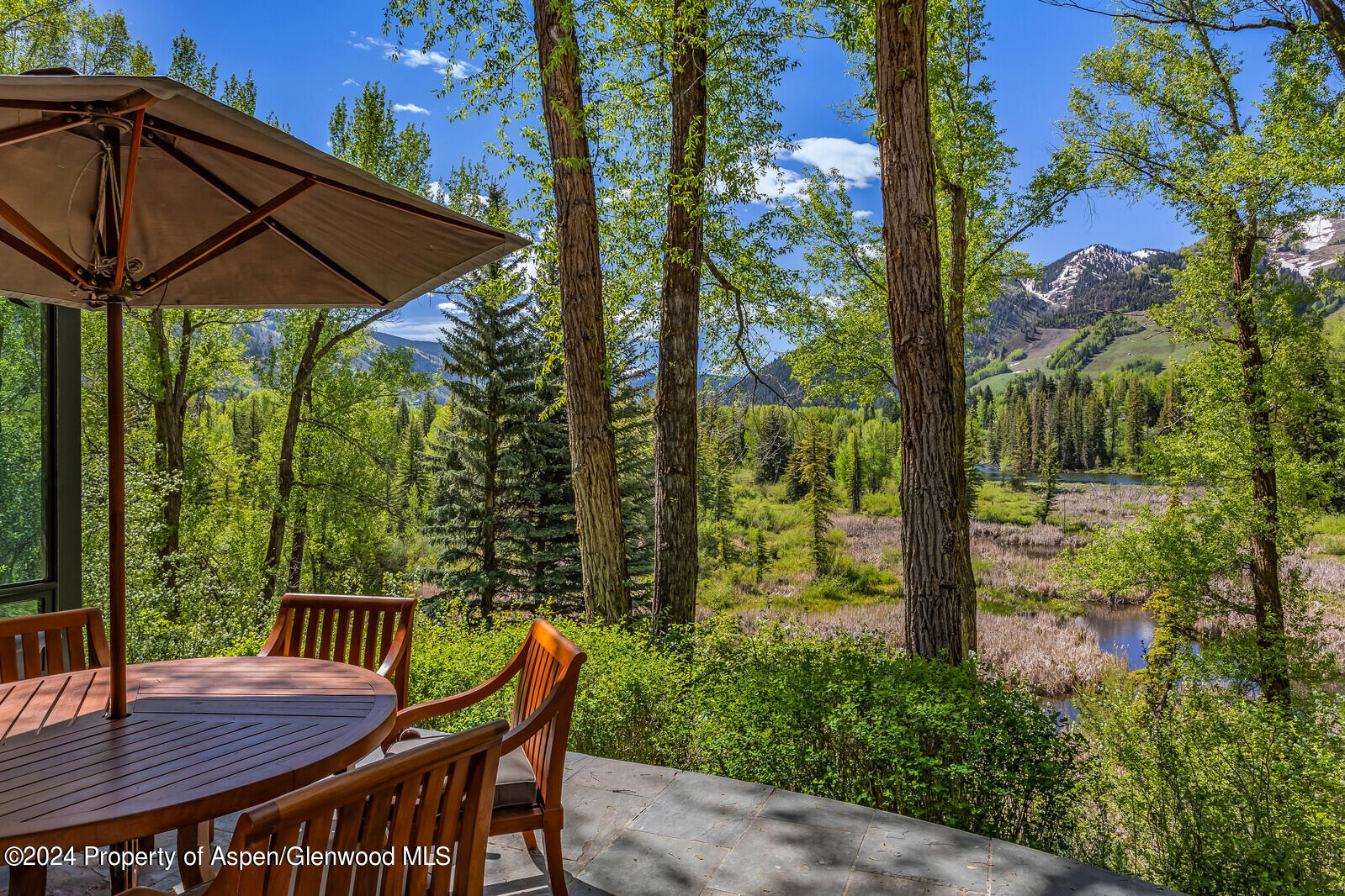 844 Roaring Fork Road Aspen, CO 81611 - Photo 12 of 39 a view of backyard with green space and sitting area