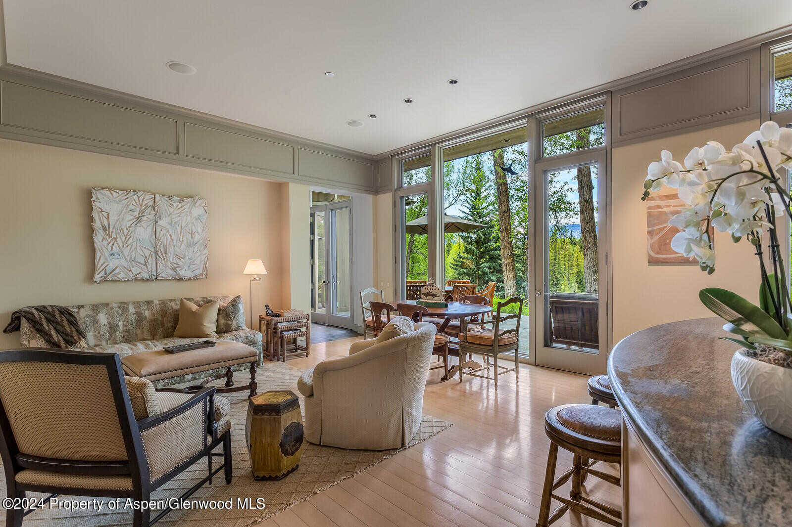 844 Roaring Fork Road Aspen, CO 81611 - Photo 21 of 39 a living room with furniture and a large window