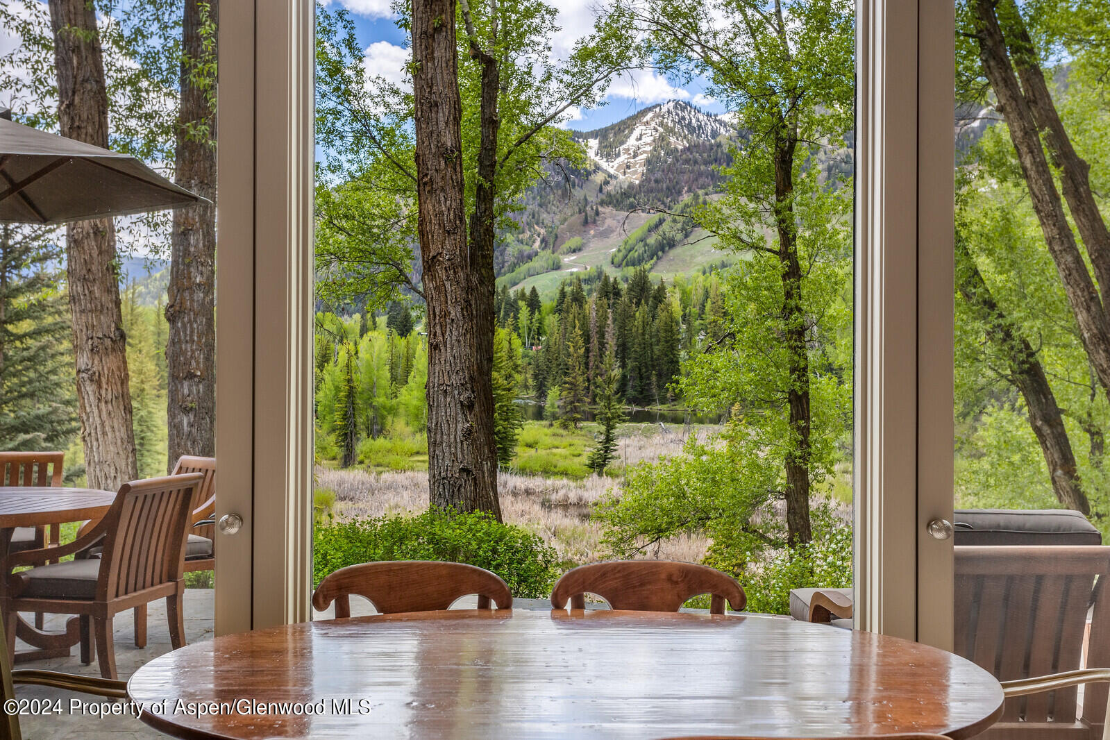 844 Roaring Fork Road Aspen, CO 81611 - Photo 22 of 39 a patio with table and chairs