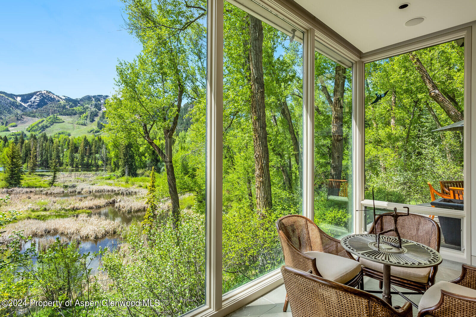 844 Roaring Fork Road Aspen, CO 81611 - Photo 3 of 39 a view of backyard with seating area and green space