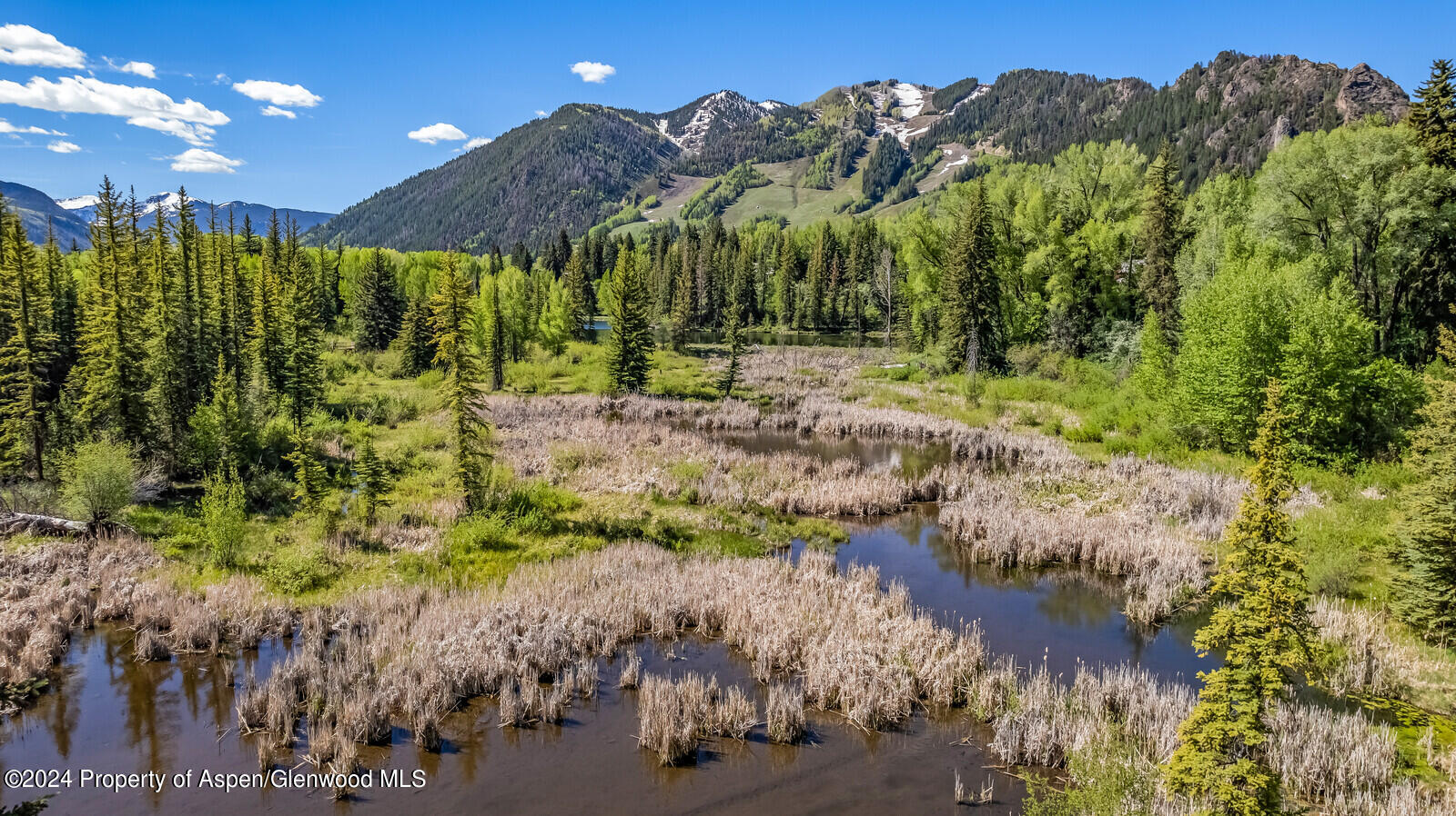 844 Roaring Fork Road Aspen, CO 81611 - Photo 39 of 39 a view of a yard with a house