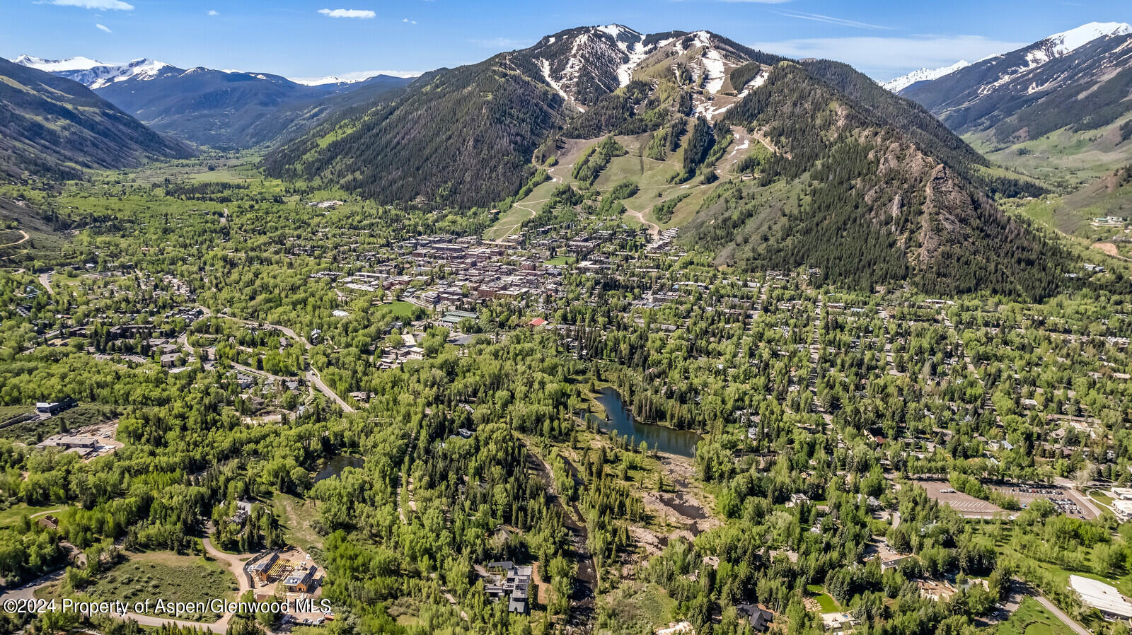 844 Roaring Fork Road Aspen, CO 81611 - Photo 7 of 39 a view of a with large tree