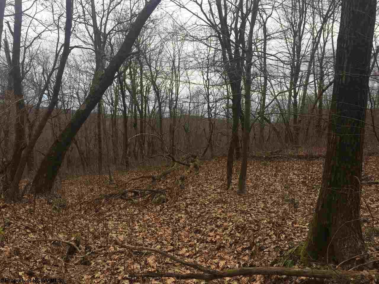 2 Cranesville Road Terra Alta, WV 26764 - Photo 12 of 19 Gallery Image 12
