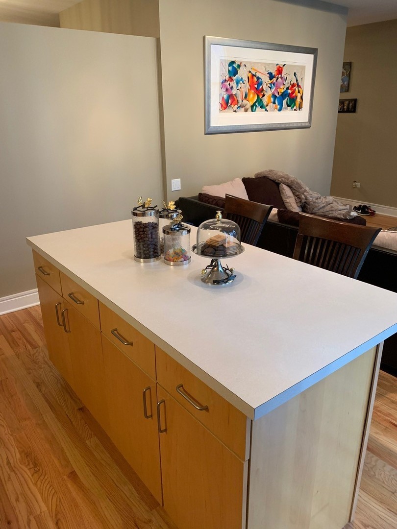 212 West Washington Street, Unit 1106 Chicago, IL 60606 - Photo 10 of 25