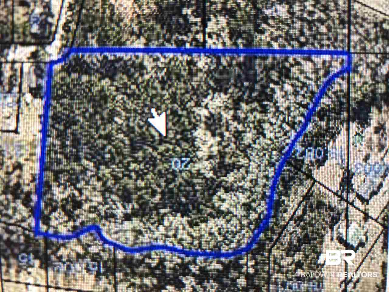 0 Cedar Hill Loop Brewton, AL 36426 - Photo 1 of 3