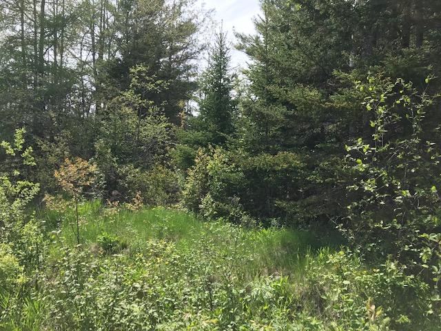 0 Johnson Point Road Penobscot, ME 04476 - Photo 3 of 13 IMG_2958