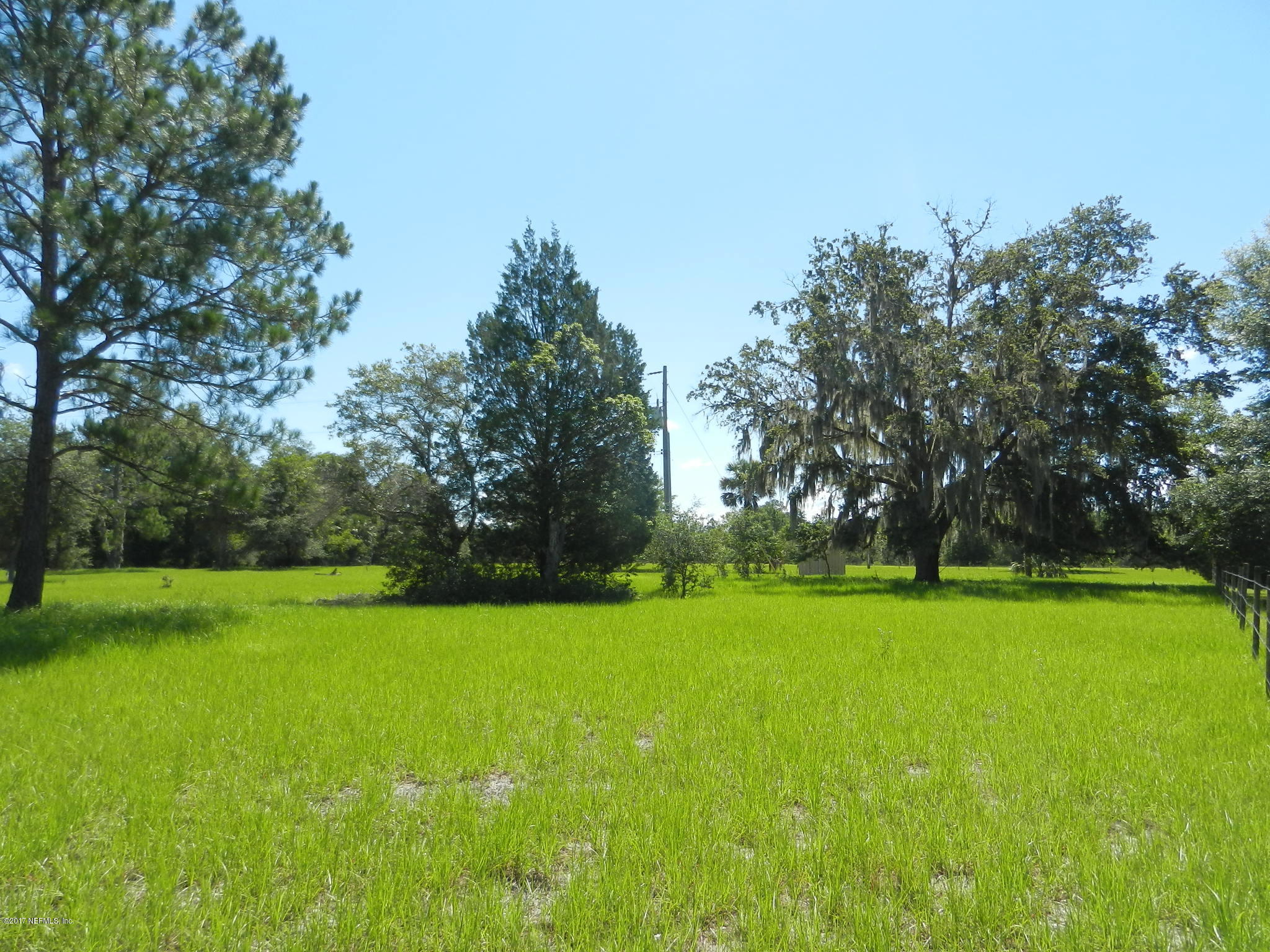 2205 Brownlee Road Seville, FL 32190 - Photo 23 of 27 a view of a grassy field with trees in the background