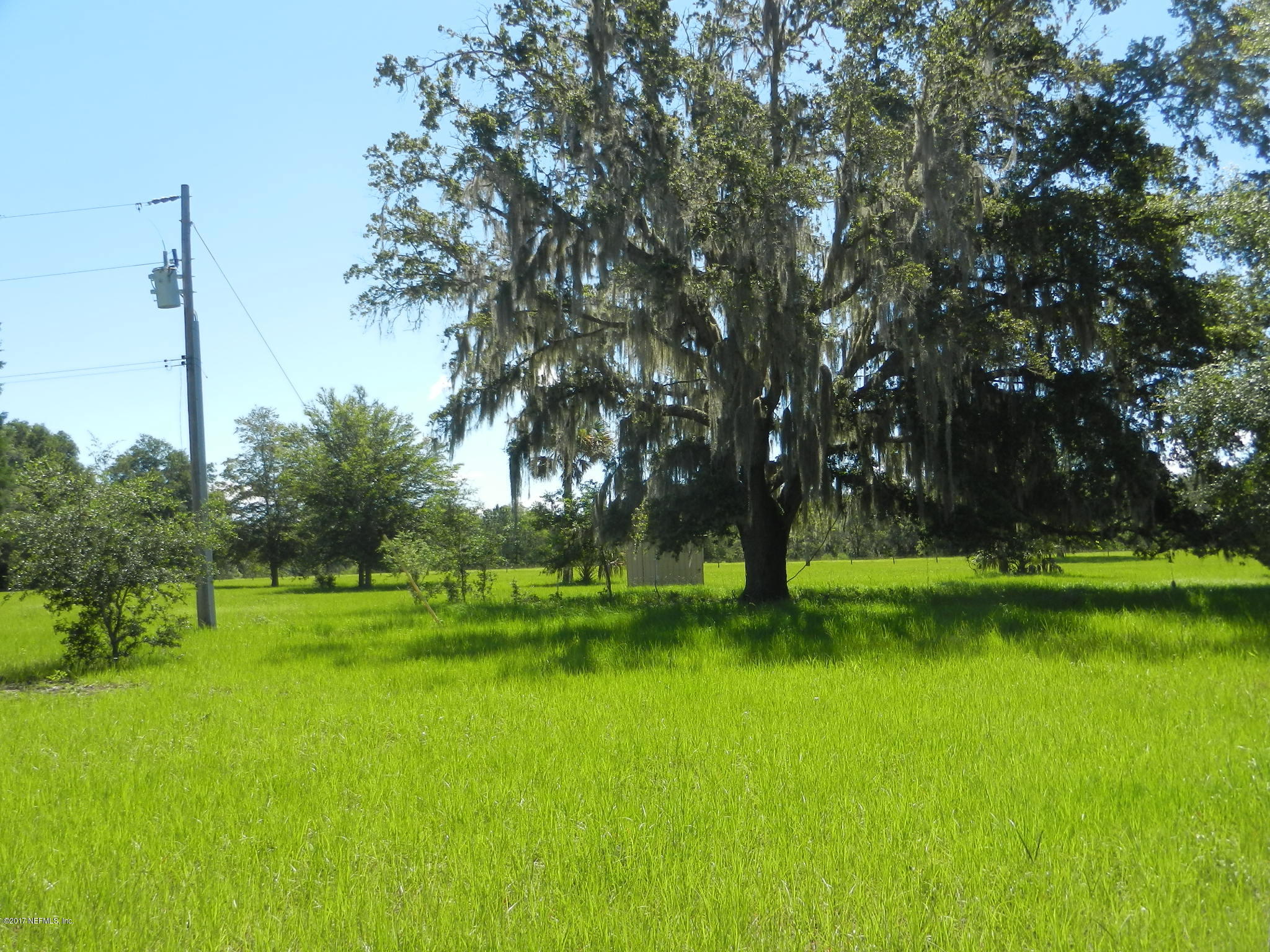 2205 Brownlee Road Seville, FL 32190 - Photo 24 of 27 a view of a park with large trees