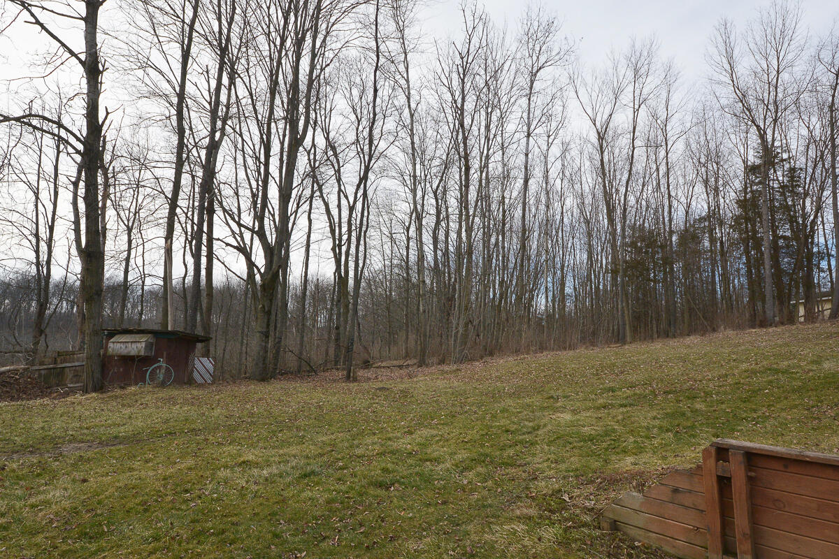 9680 South Enzian Road Delton, MI 49046 - Photo 31 of 40 9680sEnzian_32