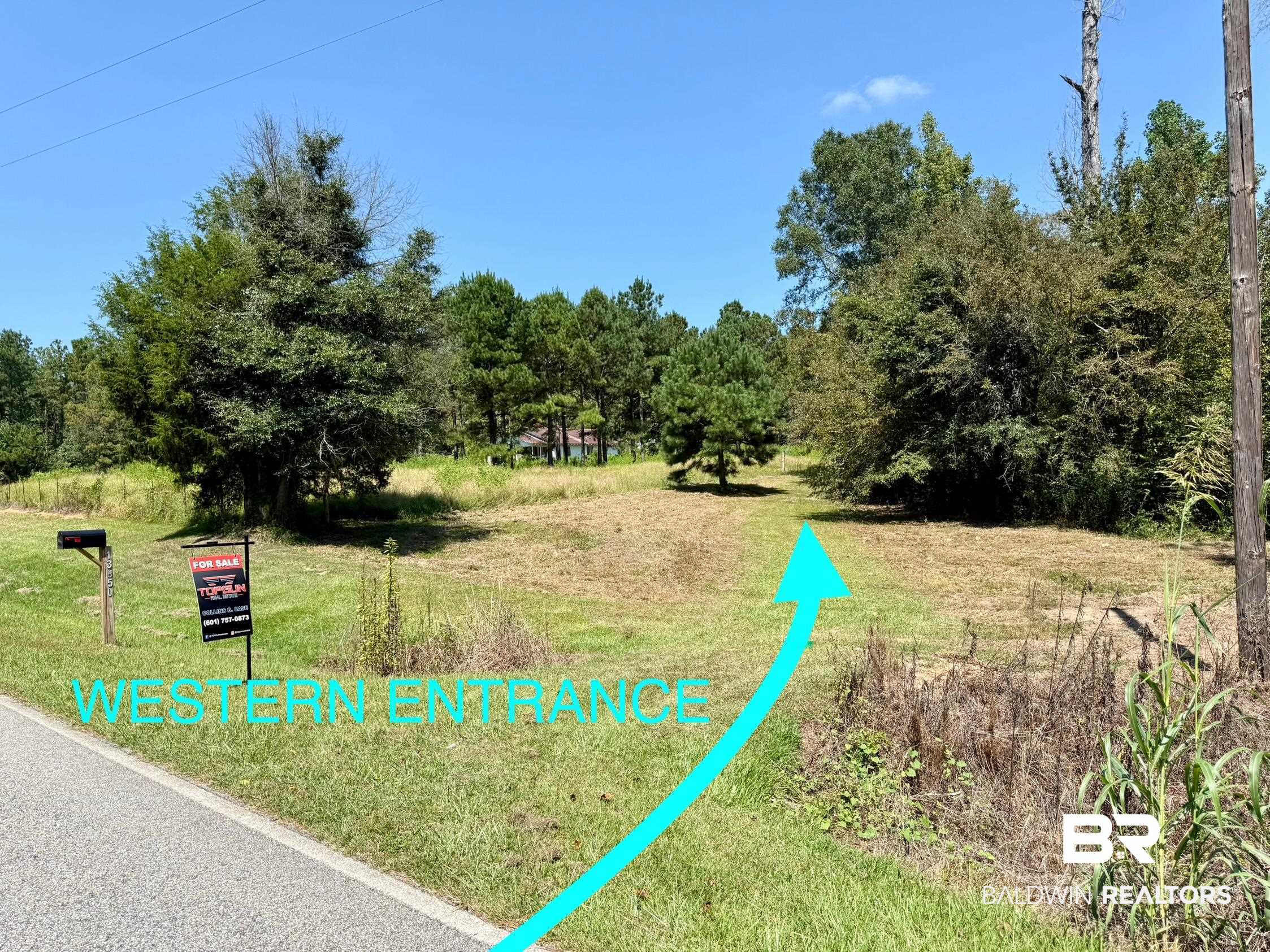 13850 Tallahatta Springs Road Thomasville, AL 36784 - Photo 8 of 27 Surrounding community with a lawn