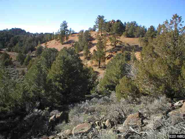 2121 Lousetown Road Reno, NV 89521 - Photo 1 of 3 Photo 1