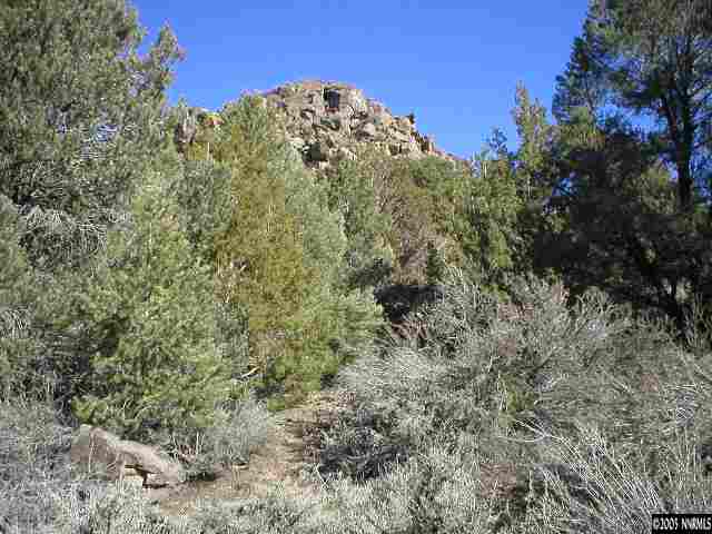 2121 Lousetown Road Reno, NV 89521 - Photo 3 of 3 Photo 3