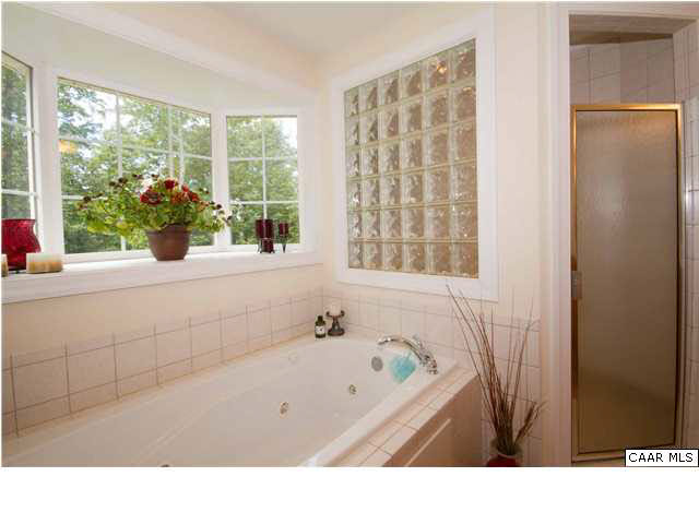 246 Sclaters Ford Road Palmyra, VA 22963 - Photo 16 of 32 Master Bath