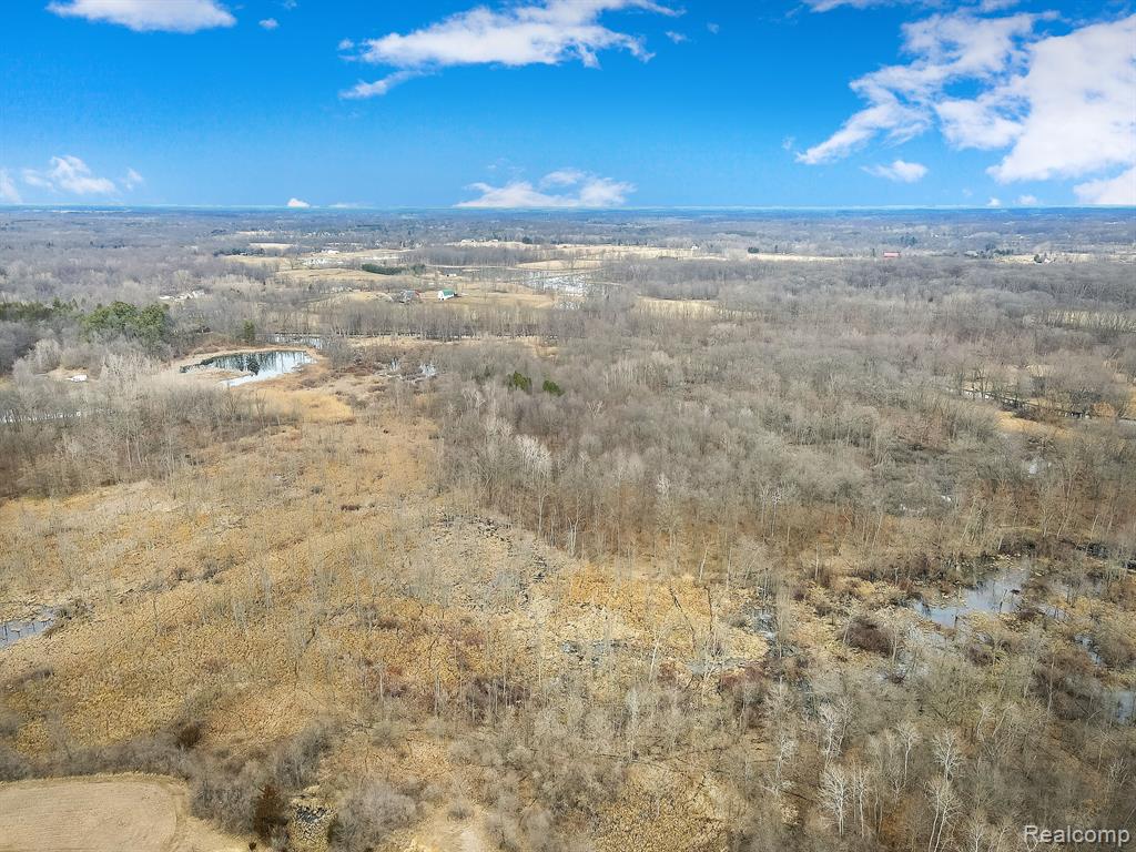 0 Lovejoy Road Byron, MI 48418 - Photo 6 of 14