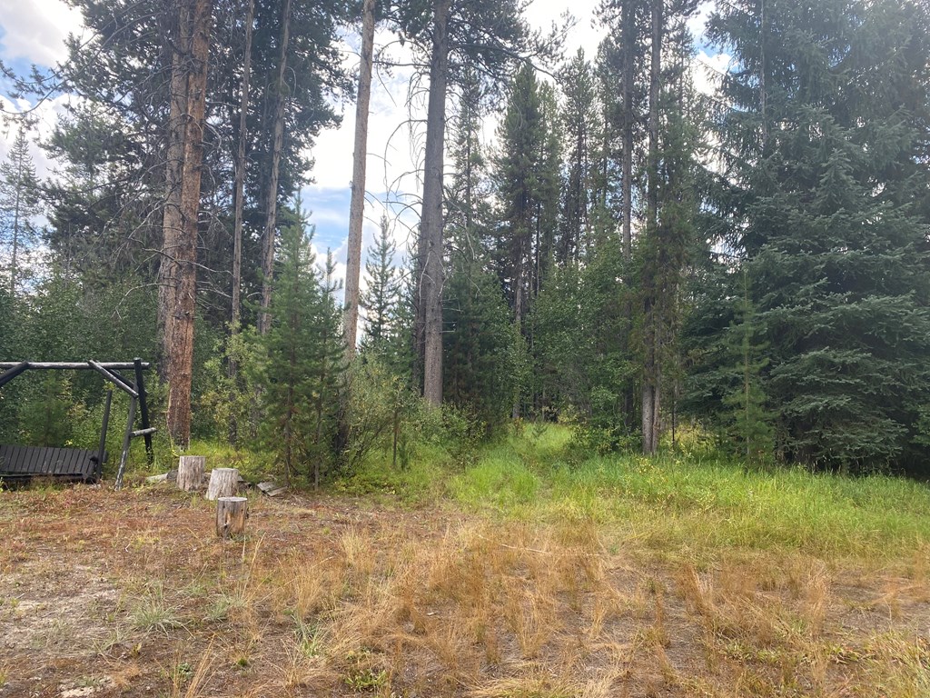 24653 Warren Wagon Road McCall, ID 83638 - Photo 12 of 15