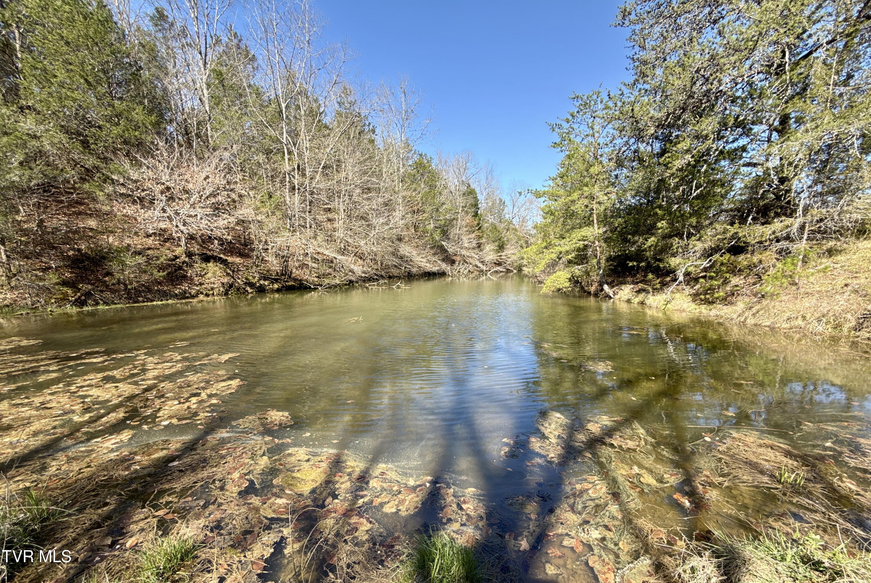 12315 Warrensburg Road Midway, TN 37809 - Photo 86 of 106 _Pic85