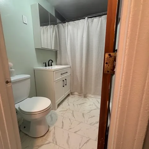 a bathroom with a sink and a toilet