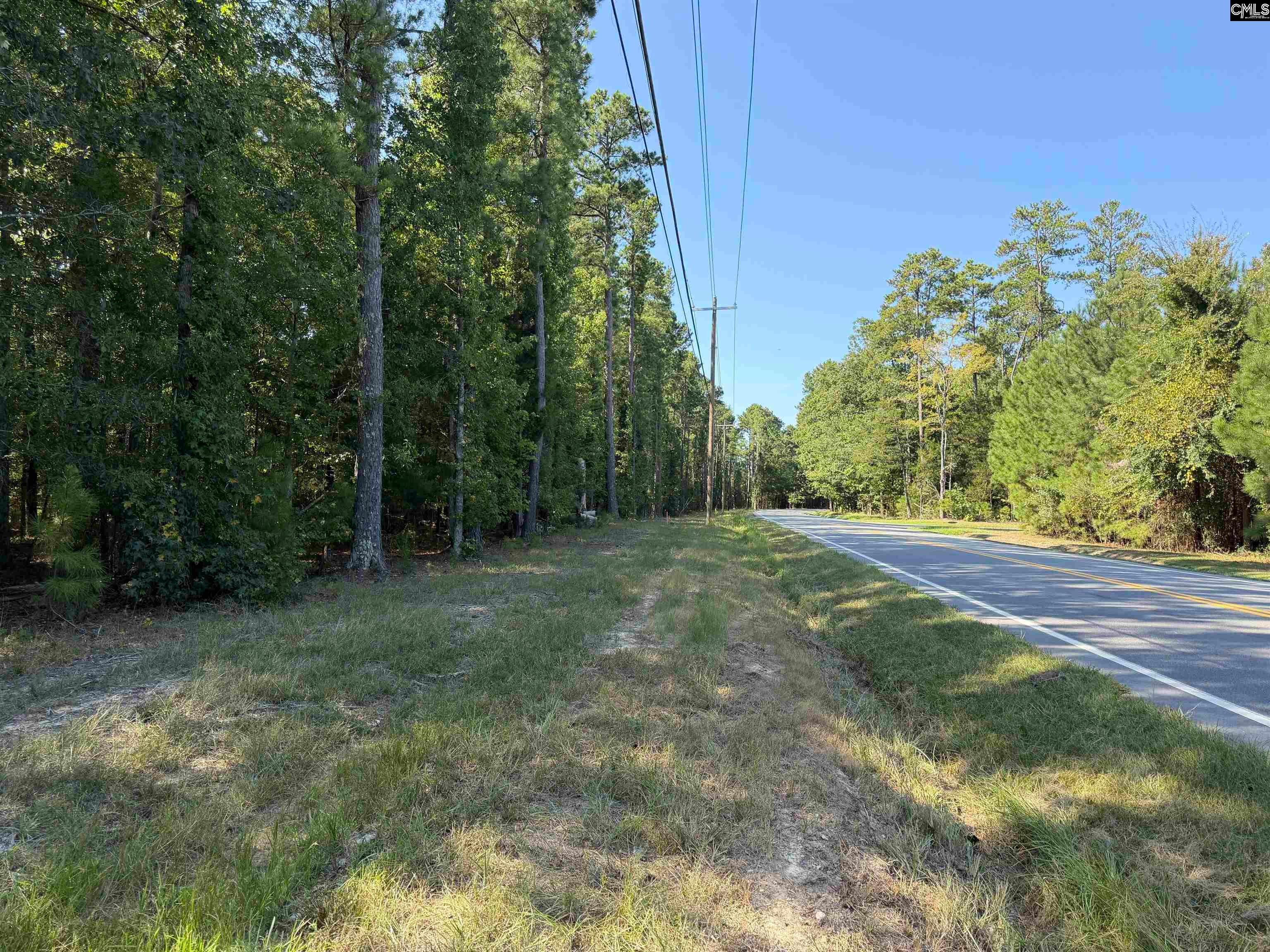 367 Murray Lindler Road Chapin, SC 29036 - Photo 1 of 4 Gallery Image 1