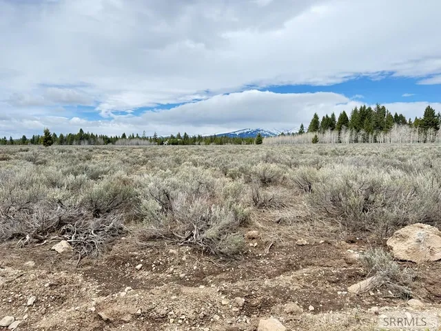 $255,000 | 4055 Ryan Island Park, Island Park, ID 83429